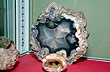 Joyas minerales - Photo: Jorge Gonz�lez
