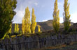 El sol los resalta - Foto: Eduardo Epifanio El sol los resalta - Foto: Eduardo Epifanio