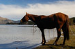 Lago Aluminé - Foto: Eduardo Epifanio Lago Aluminé - Foto: Eduardo Epifanio