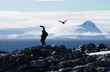 Cetrero en la cima - Photo: Mart�n Rubinetti