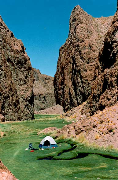 Camping at the Great Canyon