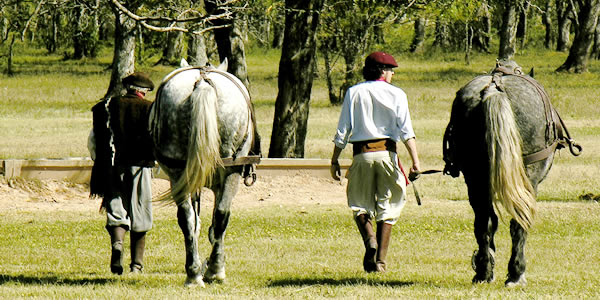 Bicentenario Argentino