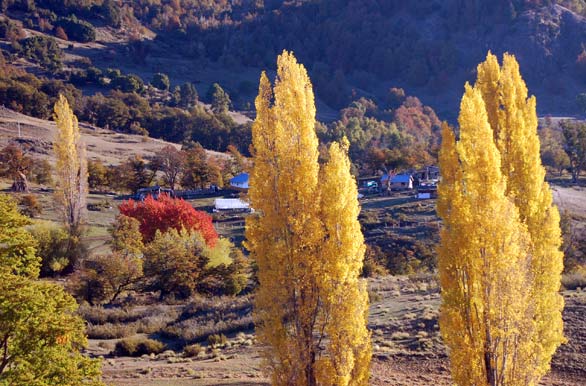 Las poblaciones rurales en otoño son visitadas por turistas curiosos.
