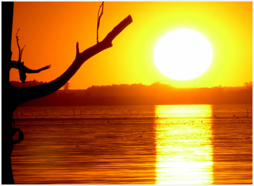 La puesta del sol es uno de los mejores momentos del día para disfrutar este ecosistema.