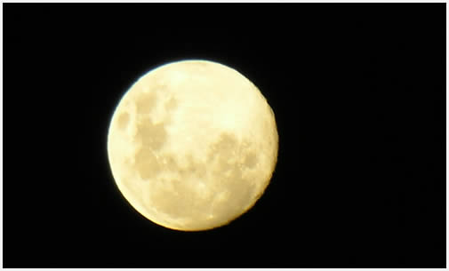 La morfología de la luna se ve perfecta desde la oscuridad de la selva.
