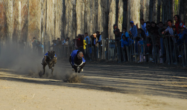 Las carreras de galgos, del cercano paraje Las Lajas.