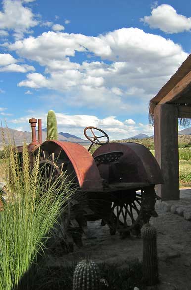 Estancia Colom� - Autor: Karina Jozami
