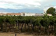 Bodega La Rosa - Photo: Jorge Gonz�lez