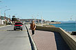 Paseo de la costanera - Foto: Jorge Gonz�lez
