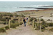 Ping�inera cabo Dos Bah�as - Foto: Jorge Gonz�lez