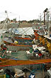 Flota pesquera - Foto: Jorge Gonz�lez