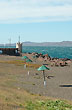 Playa del puerto - Foto: Jorge Gonz�lez