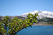 Volc�n Copahue  - Foto: Maximiliano Maino