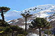 Filo del Farall�n, Caviahue - Foto: Gustavo Armand Ugon