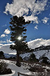 T�mido sol - Foto: Gustavo Armand Ugon