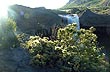 Desde el mirador del salto del Agrio - Foto: Pablo Etchevers