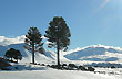 Paisaje invernal - Foto: Jorge Gonz�lez