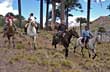 Al paso por el bosque - Foto: Santiago Gaudio