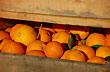 Local fruit - Photo: Jorge Gonz�lez