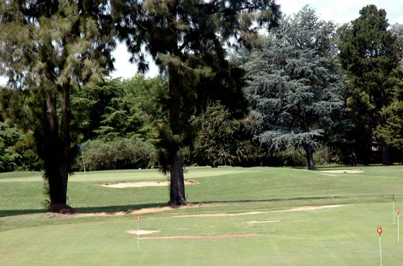 Golf Chascomus Country Club 