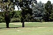Golf Chascomus Country Club  - Foto: Pablo Etchevers