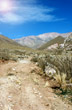 Arid path at La Rioja - Photo: Marcelo Sola