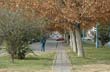 Av. Leandro M. Alem - Photo: Jorge Gonz�lez
