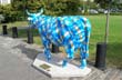 Argentinian cow - Photo: Jorge Gonz�lez