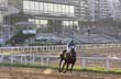 Argentinian horse race track at Palermo - Photo: Pablo Etchevers