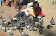 Pigeons at Mayo Square - Photo: Jorge Gonz�lez