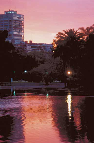 Atardece en el Rosedal - Author: Santiago Gaudio