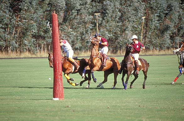Polo en la ciudad - Autor: Secretar�a de Turismo de la Naci�n