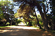 Dunamar street - Photo: Cristina Sabaliauskas - Welcomeargentina.com