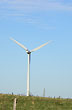 Windmill - Photo: Jorge Gonz�lez