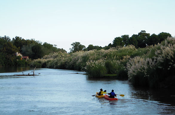 Rowing across the creek