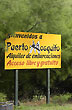 Tours around the creek - Photo: Jorge Gonz�lez