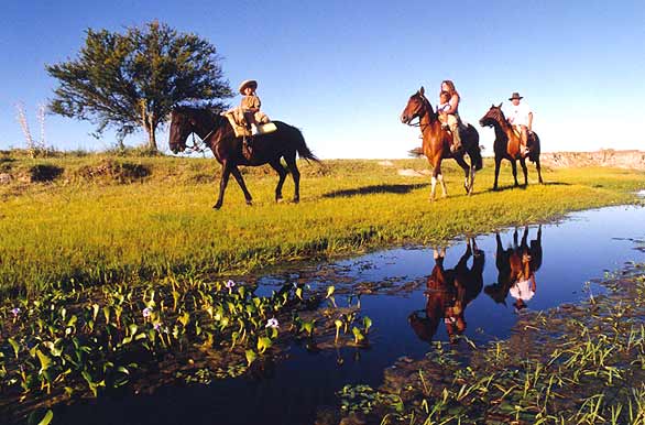 Reflejo equino de Don Leandro - Autor: Secretar�a de Turismo Municipalidad de Col�n