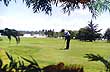 Golf a orillas del río - Foto: Secretaría de Turismo Municipalidad de Colón Golf a orillas del río - Foto: Secretaría de Turismo Municipalidad de Colón