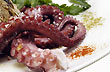 Octopus plain - Photo: Palmiro Bedeschi
