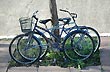 Bikes - Photo: Pablo Etchevers