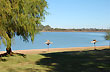 Paseo de la costanera - Foto: Jorge Gonz�lez