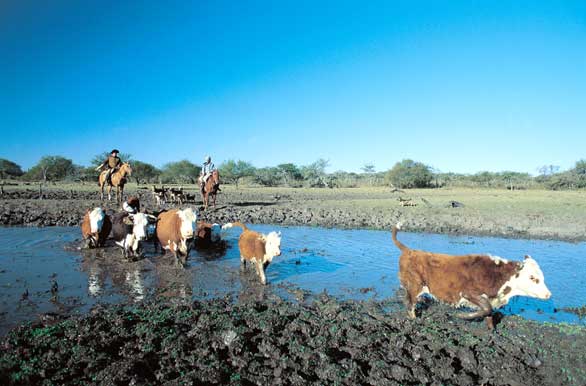 Refrescante ba�o - Autor: Instituto de Desarrollo Tur�stico de Entre R�os
