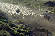 Mudarse para luego volver - Foto: Pablo Etchevers