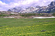 Paisaje primaveral - Foto: Pablo Etchevers