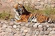 At the zoo - Photo: Eduardo Epifanio