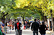 Arts Promenade - Photo: Eduardo Epifanio