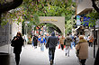 Flowers promenade - Photo: Eduardo Epifanio