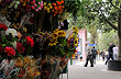 Flowers promenade - Photo: Eduardo Epifanio