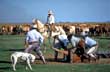 Yerra en Corrientes - Foto: Secretaría de Turismo de la Nación Yerra en Corrientes - Foto: Secretaría de Turismo de la Nación