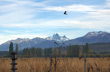 Cholila, Valle Hermoso - Foto: Karina Jozami